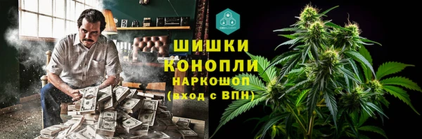 ГАЛЛЮЦИНОГЕННЫЕ ГРИБЫ Горнозаводск