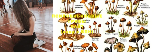 кокаин колумбия Горно-Алтайск